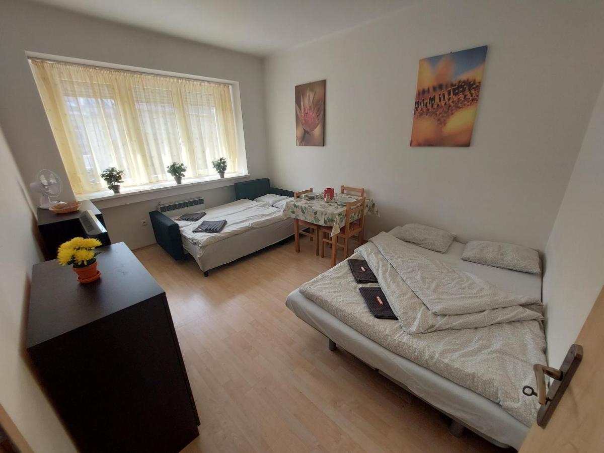 Apartman V Centre Bratislavy Apartman Pozsony Kültér fotó